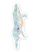 Vízzel festő kreatív könyvjelző készlet, Tengeri állatok Avenir