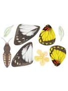 Charm készítő kreatív készlet, Pillangó Avenir