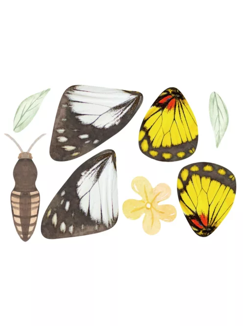 Charm készítő kreatív készlet, Pillangó Avenir