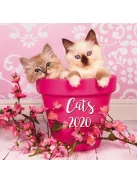 Falinaptár lemez (29X58) 2020 CATS T098-002