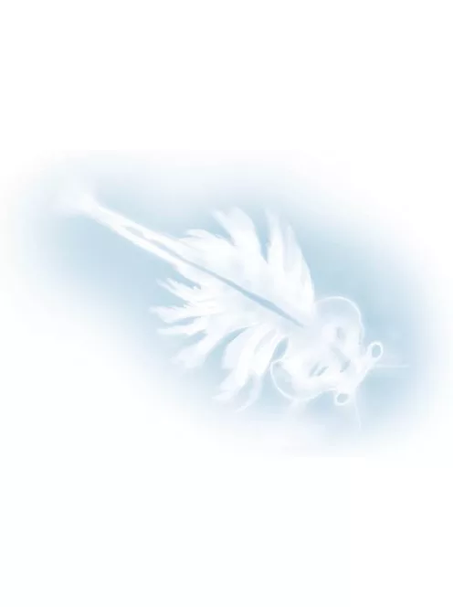 Tudományos készlet -Tengeri szörnyek-Sórák  BUKI