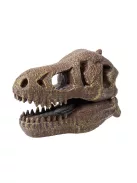 Tyrannosaurus koponya felfedező készlet BUKI