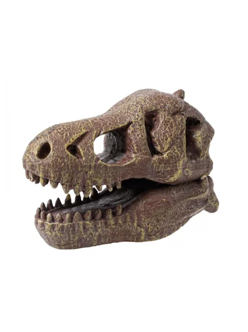 Tyrannosaurus koponya felfedező készlet BUKI