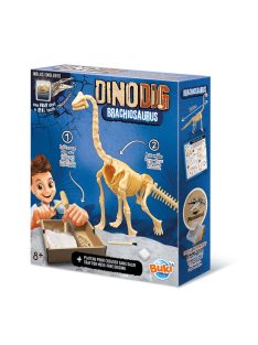 Dínó csontváz felfedező készlet Brachiosaurus BUKI