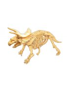 Dínó csontváz felfedező készlet Triceratops BUKI
