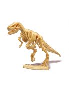 Dínó csontváz felfedező készlet T-Rex BUKI