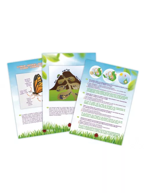 Rovar vizsgáló szett BUKI