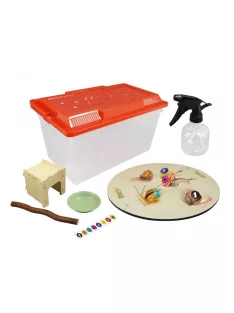 Csiga megfigyelő terrárium BUKI