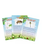 Vákuumos rovarfogó készlet BUKI