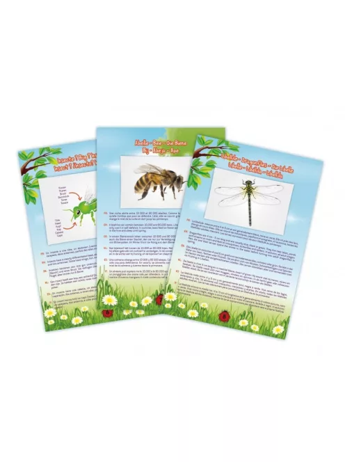 Vákuumos rovarfogó készlet BUKI