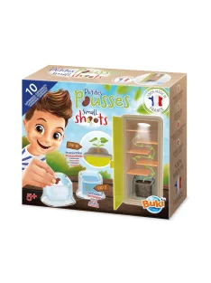 Növénytan, Csíráztató doboz BUKI