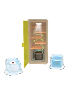 Növénytan, Csíráztató doboz BUKI