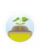 Növénytan, Csíráztató doboz BUKI