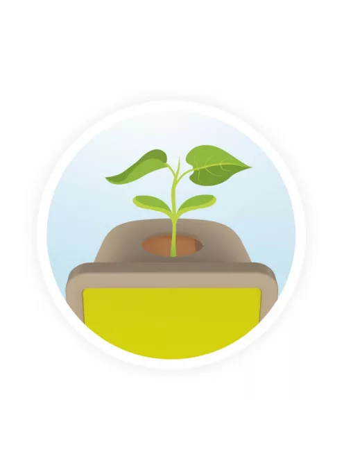 Növénytan, Csíráztató doboz BUKI