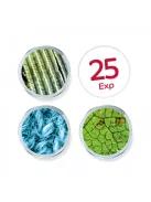 Kézi videómikroszkóp BUKI