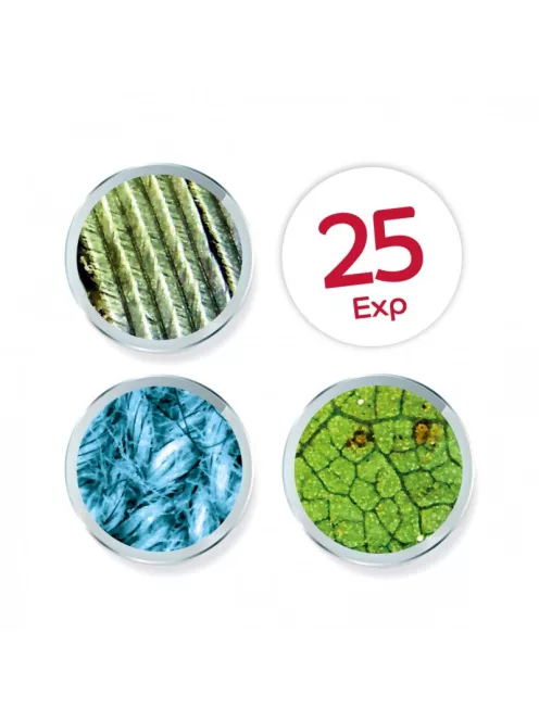 Kézi videómikroszkóp BUKI