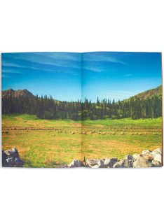   Moxy dinoszauruszos matricázó füzet 180+ matricával Grafix