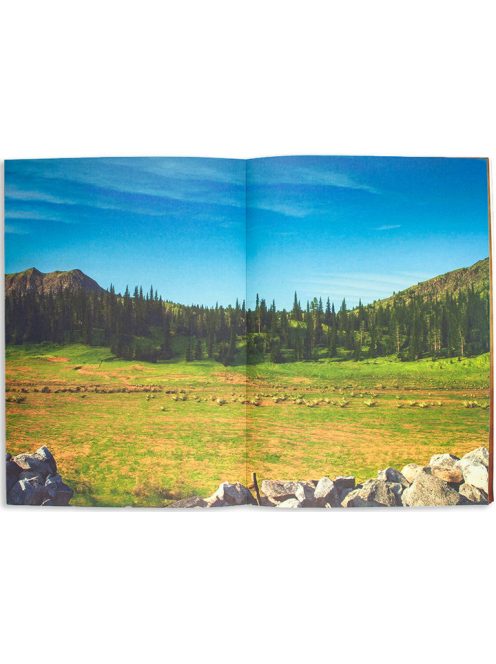 Moxy dinoszauruszos matricázó füzet 180+ matricával Grafix