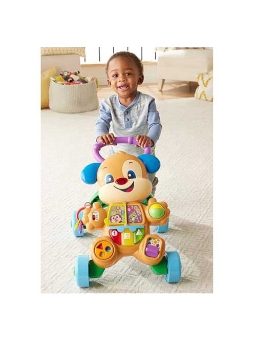 Fisher Price-Tanuló kutyusos járássegítő