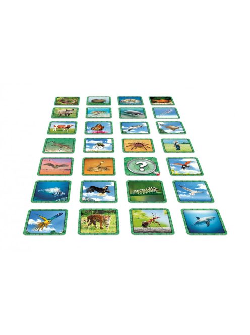 Specicic kártyajáték - gyorsaság, memória 