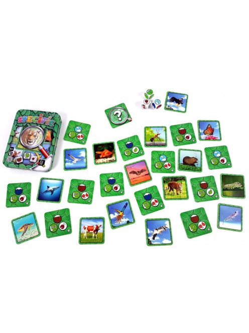 Specicic kártyajáték - gyorsaság, memória 