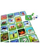 Specicic kártyajáték - gyorsaság, memória 