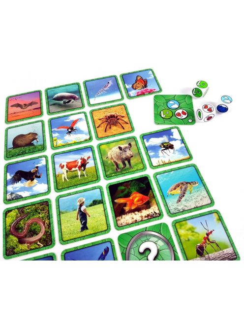 Specicic kártyajáték - gyorsaság, memória 