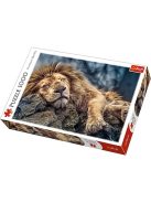 Alvó oroszlán 1000db-os prémium puzzle - Trefl