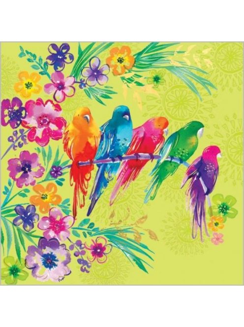 Üdvözlőkártya-Színes papagájok- Abacus/Lemongrass quadrat