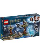 LEGO Harry Potter Expecto Patronum 75945