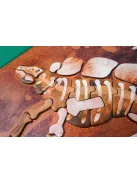 Hordozható mágneses tábla, Stegosaurus MierEdu