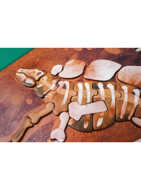 Hordozható mágneses tábla, Stegosaurus MierEdu