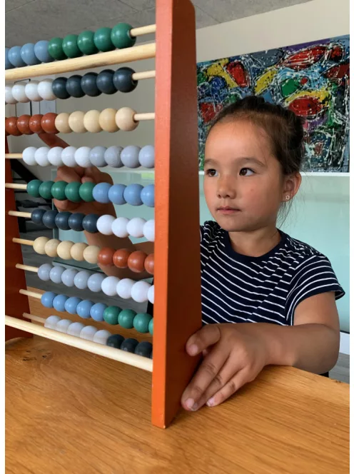 Fa abakusz, barna Magni