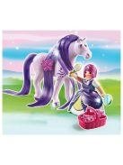 Princess Fésülhető lovacska Viola Playmobil 6167