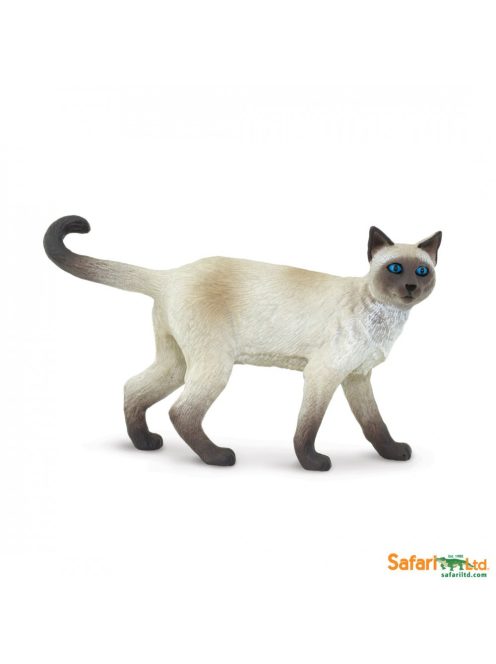 Siamese -Sziámi macska-Safari 