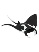 Manta rája Safari
