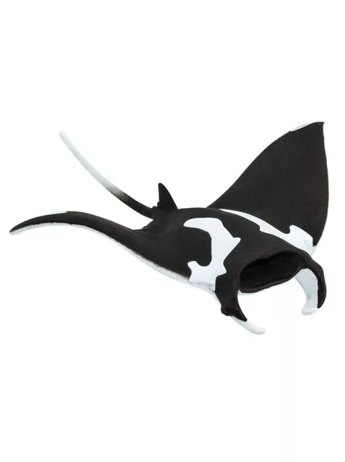 Manta rája Safari