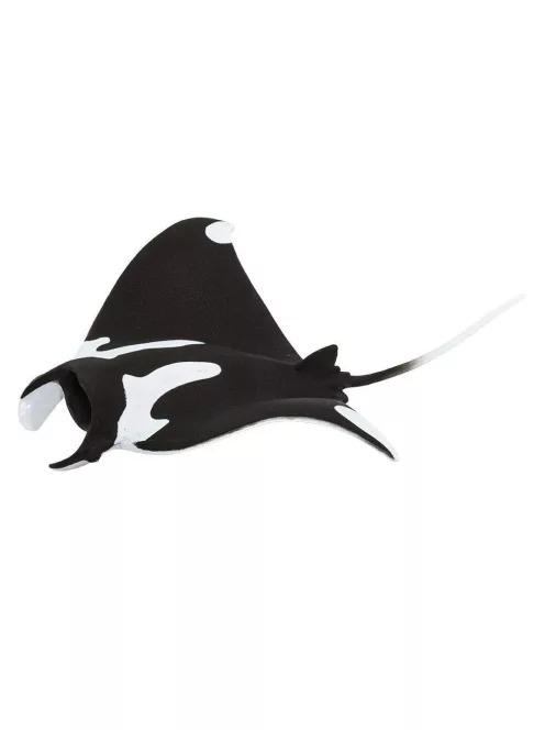 Manta rája Safari
