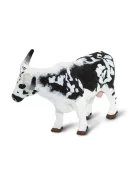 Hosszú szarvú texasi marha Safari