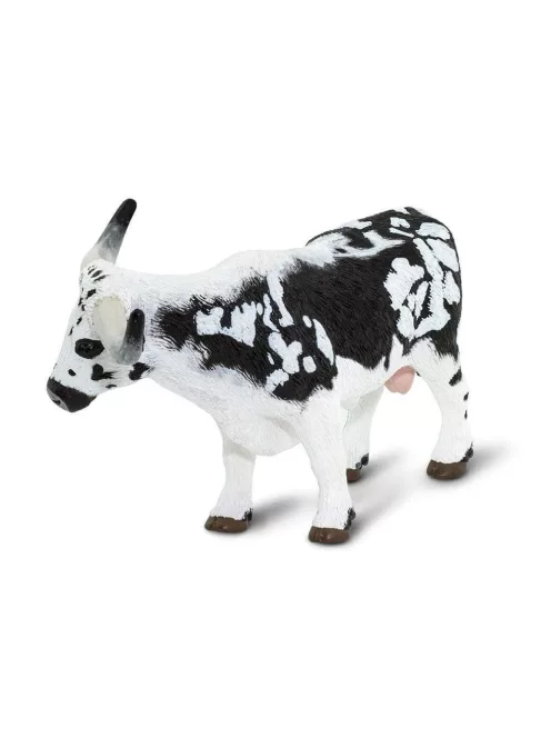 Hosszú szarvú texasi marha Safari