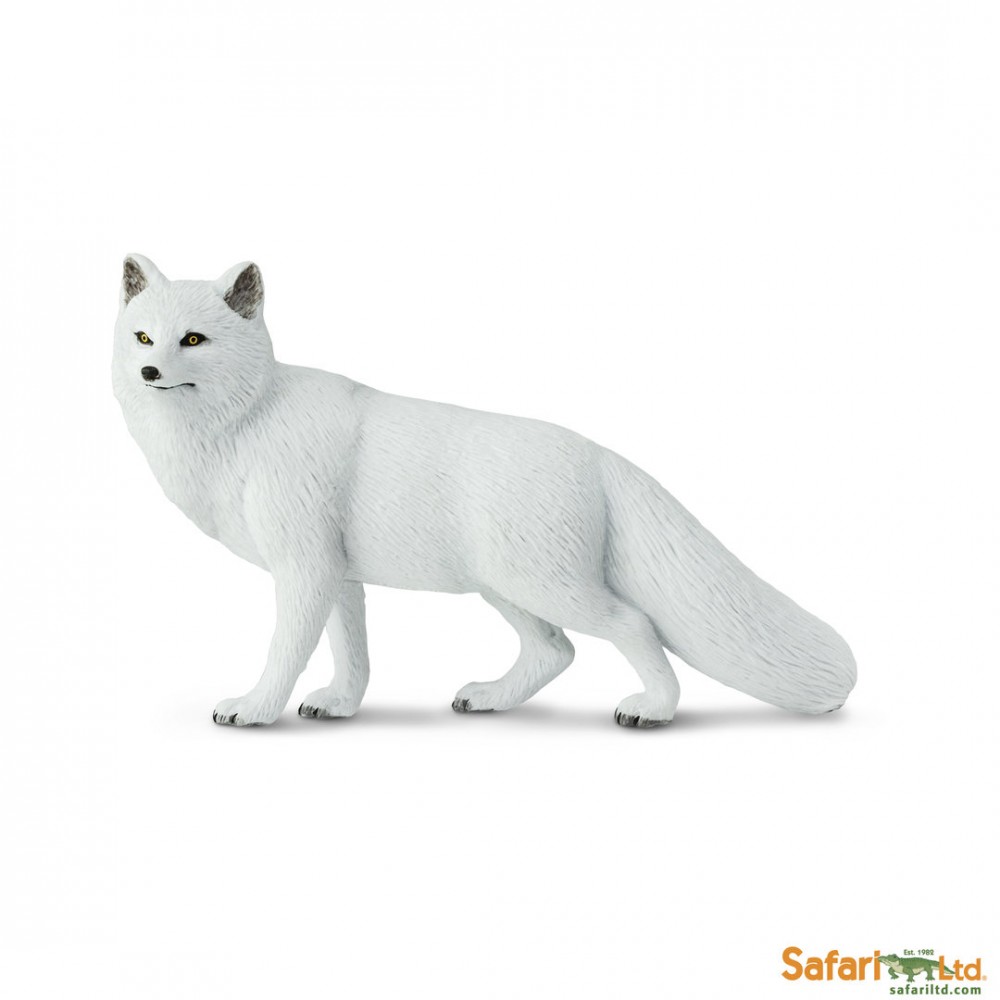 Fehér sarki róka Safari Ltd. figura vásárlása - Játék Bolygó