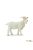 Bakkecske- Billy Goat Safari