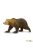 Grizzly Bear-Grizzly medve-Safari