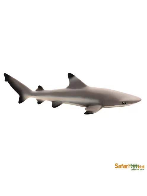 Feketeúszójú szirticápa játékfigura Safari