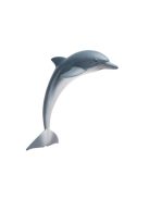 Delfin Safari
