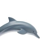 Delfin Safari