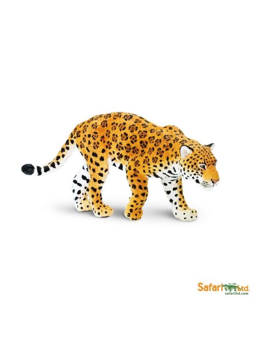 Jaguar -Jaguár Safari
