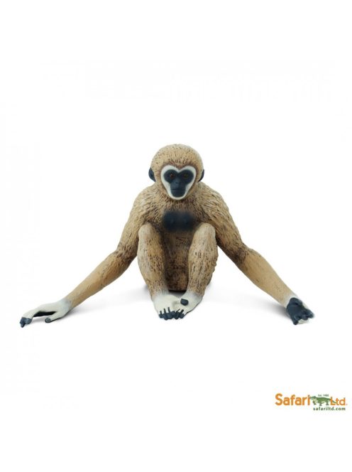 Gibbon Safari