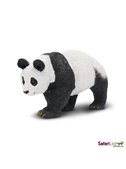 Panda Safari
