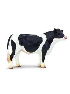 Fekete-fehér Holstein tehén Safari